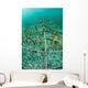 Fast-growing Corals Being Grown Wall Decal Design 1