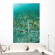 Fast-growing Corals Being Grown Wall Decal Design 1