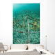 Fast-growing Corals Being Grown Wall Decal Design 1