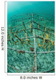 Fast-growing Corals Being Grown Wall Decal Design 1