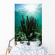 Gorgonians Grow Shallow Reef Wall Decal
