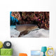 Nurse Shark Rests Seafloor Wall Decal