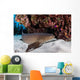 Nurse Shark Rests Seafloor Wall Decal