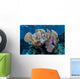 Colorful Set Gorgonians Diverse Wall Decal Design 23