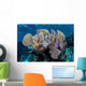 Colorful Set Gorgonians Diverse Wall Decal Design 23