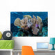 Colorful Set Gorgonians Diverse Wall Decal Design 23