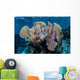 Colorful Set Gorgonians Diverse Wall Decal Design 23