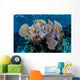 Colorful Set Gorgonians Diverse Wall Decal Design 23