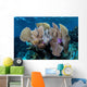 Colorful Set Gorgonians Diverse Wall Decal Design 23