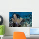 Colorful Set Gorgonians Diverse Wall Decal Design 22