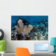 Colorful Set Gorgonians Diverse Wall Decal Design 22