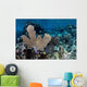 Colorful Set Gorgonians Diverse Wall Decal Design 22