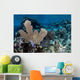 Colorful Set Gorgonians Diverse Wall Decal Design 22