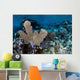 Colorful Set Gorgonians Diverse Wall Decal Design 22