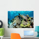 Colorful Set Gorgonians Diverse Wall Decal Design 21