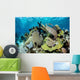 Colorful Set Gorgonians Diverse Wall Decal Design 21