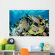 Colorful Set Gorgonians Diverse Wall Decal Design 21
