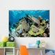 Colorful Set Gorgonians Diverse Wall Decal Design 21