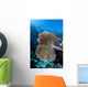 Colorful Set Gorgonians Diverse Wall Decal Design 20