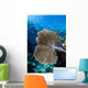 Colorful Set Gorgonians Diverse Wall Decal Design 20