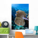 Colorful Set Gorgonians Diverse Wall Decal Design 20
