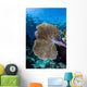 Colorful Set Gorgonians Diverse Wall Decal Design 20