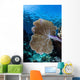 Colorful Set Gorgonians Diverse Wall Decal Design 20