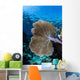 Colorful Set Gorgonians Diverse Wall Decal Design 20