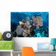 Colorful Set Gorgonians Diverse Wall Decal Design 19