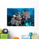 Colorful Set Gorgonians Diverse Wall Decal Design 19