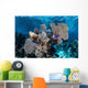 Colorful Set Gorgonians Diverse Wall Decal Design 19