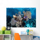 Colorful Set Gorgonians Diverse Wall Decal Design 19