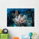 Colorful Set Gorgonians Diverse Wall Decal Design 18