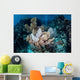 Colorful Set Gorgonians Diverse Wall Decal Design 18