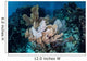 Colorful Set Gorgonians Diverse Wall Decal Design 18