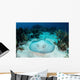 Roughtail Stingray Rests Seafloor Wall Decal Design 2