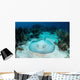 Roughtail Stingray Rests Seafloor Wall Decal Design 2