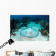 Roughtail Stingray Rests Seafloor Wall Decal Design 2