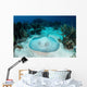 Roughtail Stingray Rests Seafloor Wall Decal Design 2