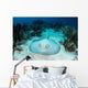 Roughtail Stingray Rests Seafloor Wall Decal Design 2