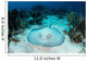 Roughtail Stingray Rests Seafloor Wall Decal Design 2