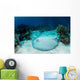 Roughtail Stingray Rests Seafloor Wall Decal Design 1