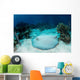 Roughtail Stingray Rests Seafloor Wall Decal Design 1