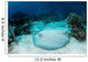 Roughtail Stingray Rests Seafloor Wall Decal Design 1