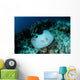 Roughtail Stingray Swims over Wall Decal Design 2