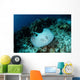 Roughtail Stingray Swims over Wall Decal Design 2
