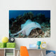 Roughtail Stingray Swims over Wall Decal Design 1