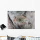 Yellow Stingray Lays Sandy Wall Decal