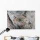 Yellow Stingray Lays Sandy Wall Decal