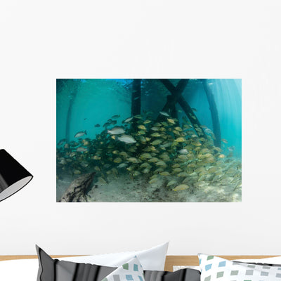 School Grunt Fish beneath Wall Decal Design 3 shown on a wall